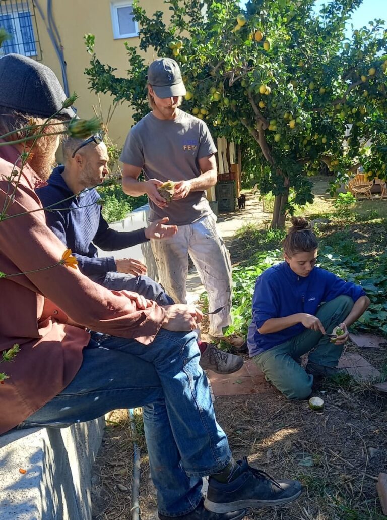 82de36b4-f3c5-4a80-9967-782d9e9f0943